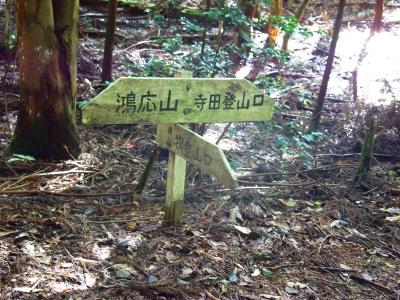 ここで分岐。鴻応山のほうへ登っていく