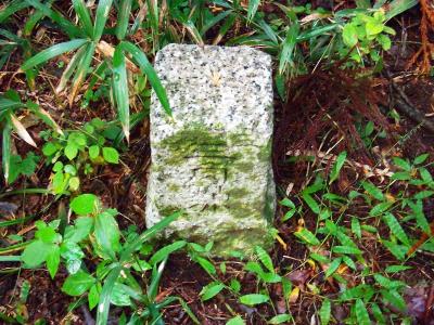 鴻応山の山頂にある三角点