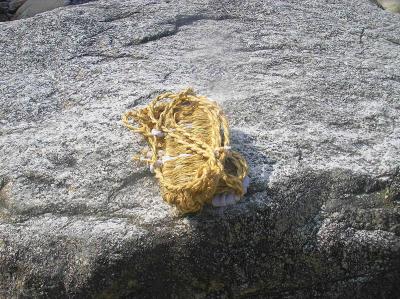 デビュー戦ということもあって沢靴は持ってなかったので地下足袋とわらじで行く