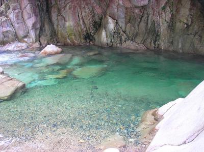 エメラルドグリーンの綺麗な沢。そのまま飲んでもいいくらい綺麗だった