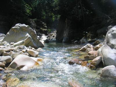 この付近からはしばらく河原歩きとなる