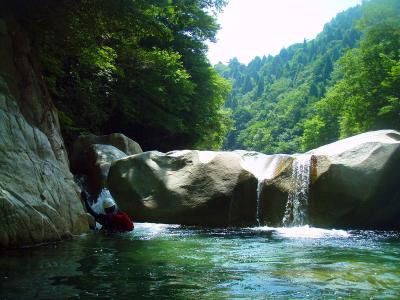 ここも左側から登っていく。沢登りもだんだん慣れてきた