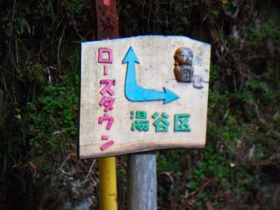 下っていったところで反対側を向くとこのような看板がある。通ってきた住宅街はローズタウンというようだ。湯谷集落のほうへ向かう