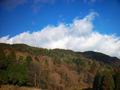 湯谷集落付近より。右側のピークが湯谷ヶ岳