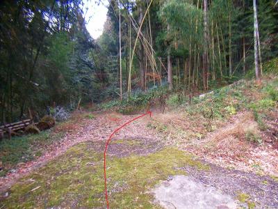 ここから登山道へ入る。右側へ登っていく