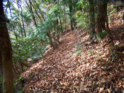 落ち葉が邪魔だけど踏み跡はうっすらある