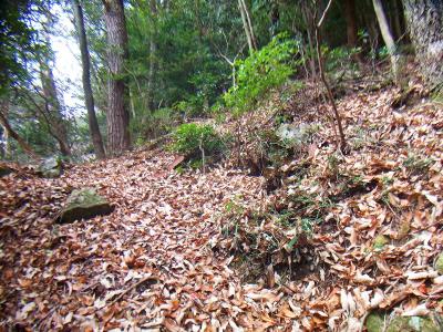 落ち葉で踏み跡がわからなくなるけど、とりあえず尾根を外さなければよい