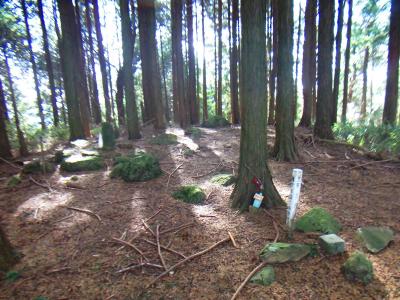 湯谷ヶ岳の山頂はこんな感じで三角点はあった