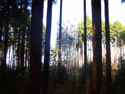 山頂から湯谷ヶ岳の反射板がみえる