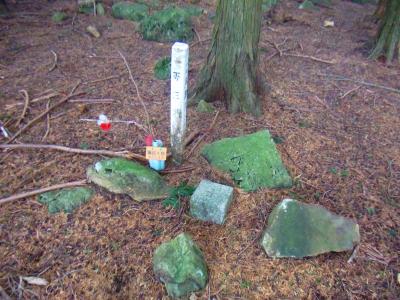 湯谷ヶ岳山頂(622.4m)に到着。山頂は反射板くらいで何もなかった