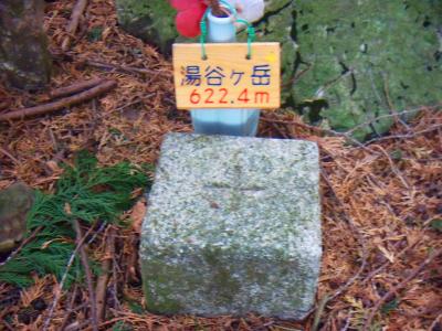 ズームして撮ってみた。三角点と小さなプレートだけかって感じだけど、この山に登る人なんてそういないよね