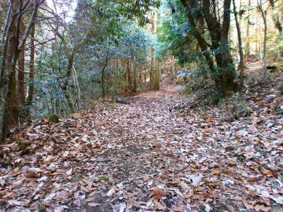 奥に行くと登山道に入る