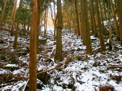 ところどころ積雪があった