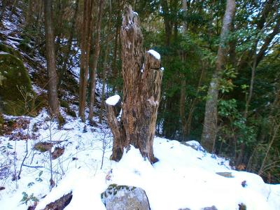 ここも雪が積もってる。雪があったりなかったりと中途半端な感じがする