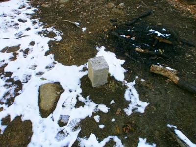 大船山山頂の三角点もあった
