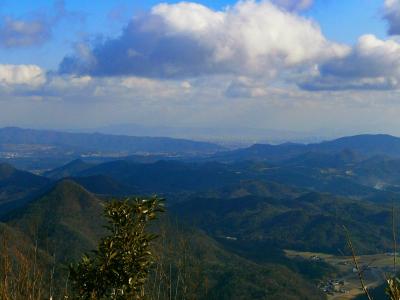 遠く大阪の市街地が見える