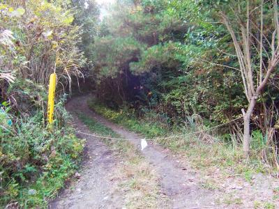 桜の辻を少し登ったところ、そこの手前に駐車して、ロープを抜けて登山開始