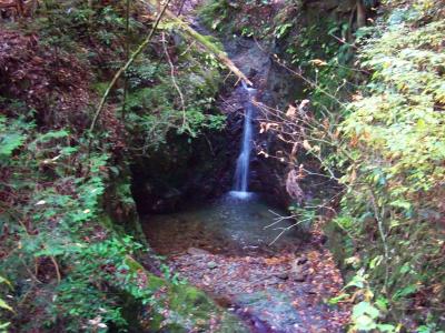 綺麗な沢沿いを歩いていき、結構綺麗な滝もあった