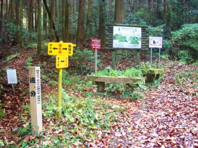 追分。ダイヤモンドトレールとの分岐