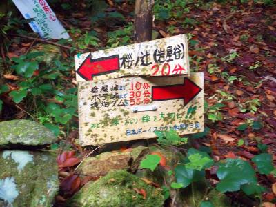 桜ノ辻まで20分以上かかりそうな気もするけど・・・