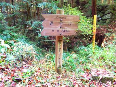 追分という大きな看板があった