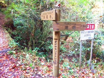 まずは施福寺に向かってダイトレを歩いていく