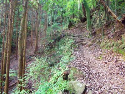 ダイトレのコースに入ると少し急登になる