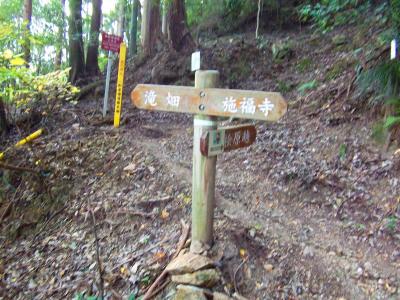 桧原超分岐点、もちろん施福寺のほうへ