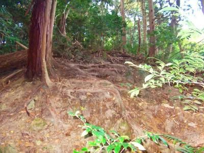蔵岩への急な登り。急登といっても距離は短いけどね