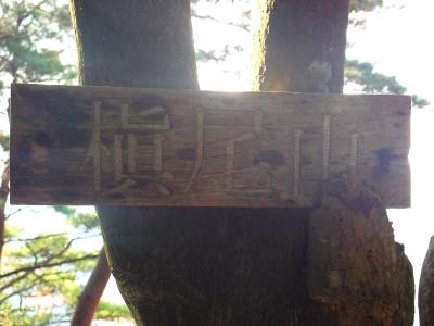 槇尾山山頂(601m)に到着。大きなプレートがあった