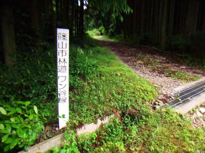 登山口まで林道が続く
