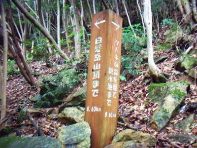 この微妙な距離は何だろう！？よくここまで細かく計測できたものだ