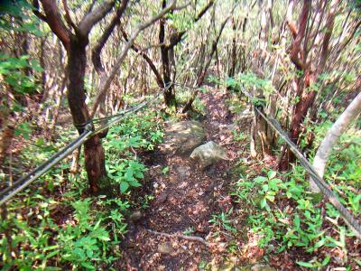 いきなり今度は急激な下り