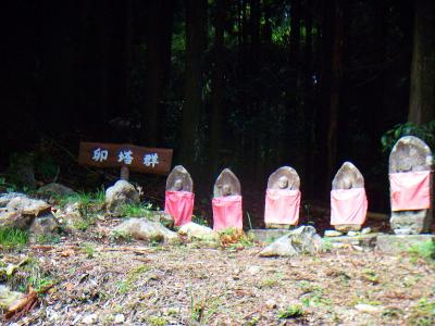 卵塔群。地蔵が並んでいた