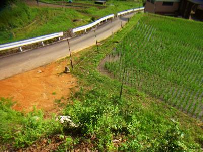 道路まで下りてきた。ここから道路を歩いて戻ってJR古市駅へ戻った。お疲れ様でした