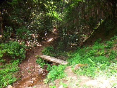 最初はひたすら沢筋の道が続く