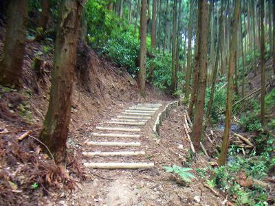 結構整備された登山道みたい。あまり有名でない山なんだけどね