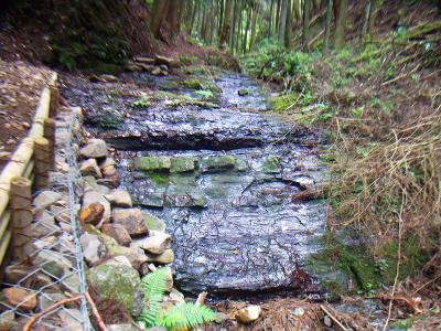 沢といってもほとんど水がないかも