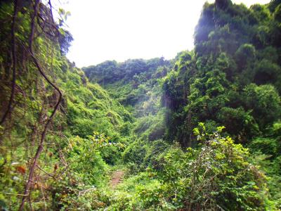 あれが梵天山のピーク付近かな