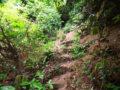 沢を渡ってからの登り。ここは道が荒れていた。さっきまで整備されていた登山道だったのに・・・
