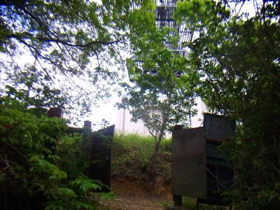 電波塔のところに出た。ここを出て左へ行くとすぐ林道がある