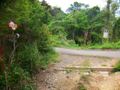 林道に出た。左は展望台だけど先にピークハントするので右の梵天山山頂のほうへいく
