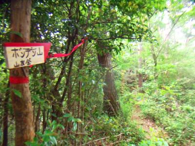 登っていくところにプレートがあった。また山友会、どこでも行ってるんだね