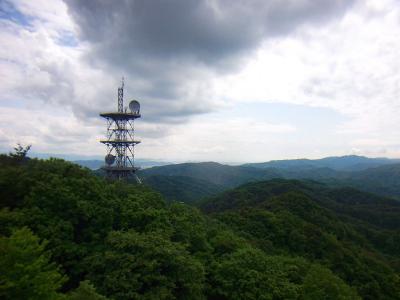 こっちは南側だけど奥は海になってるのかな！？