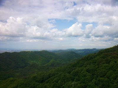 北西は大阪の市街地までは見えないけど南部は少しみえてる