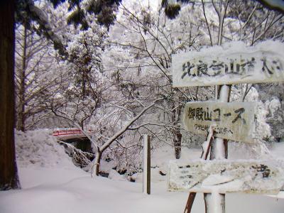 御殿山コースへいく