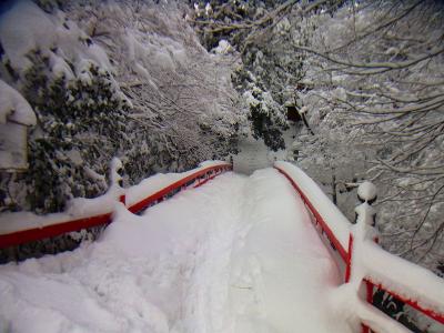 橋も雪で覆われている。これは上にいくと雪が深そうだ