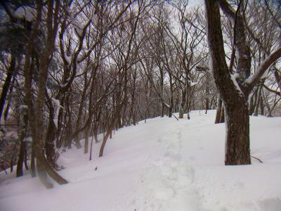 この付近からズボズボ雪にハマりながら歩いていく。トレースはスノーシューのものだった