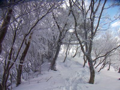 とりあえず御殿山の頂上を目指すが、同行者はラッセル経験なしで、一人でラッセルしていたのでヘトヘト