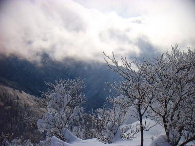 日が落ちてきたし、ここで断念するしかない